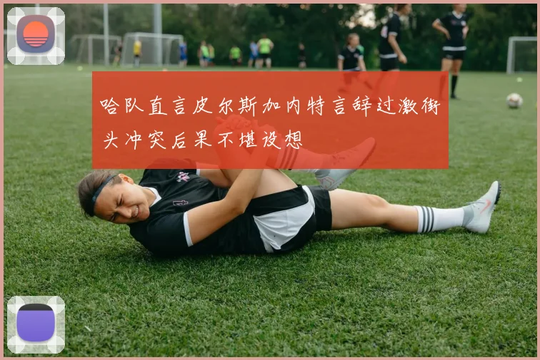 哈队直言皮尔斯加内特言辞过激街头冲突后果不堪设想